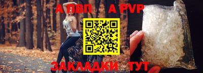 шишки Донской